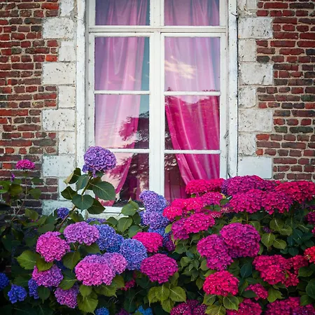 D'hotes & Du Chateau De *